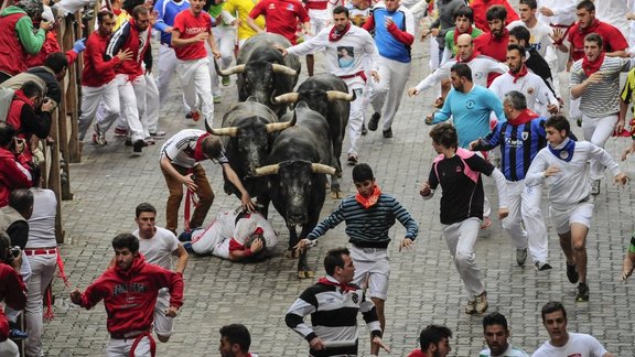 bull Spain San Fermin