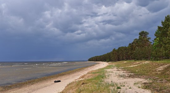 В четверг будет прохладнее, вероятен кратковременный дождь