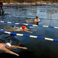 Krievijā ziemas peldes cienītāji nopeld 101 kilometru