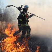 VUGD šogad dzēsis jau 71 kūlas ugunsgrēku