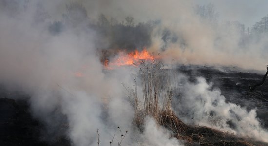 Ugunsgrēki plosās Latvijā: Olaines pagastā deg mežs, Rīgā pie Juglas ezera – niedres