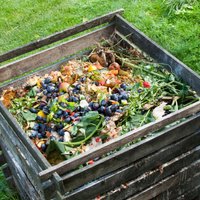 Dārznieka 'melnais zelts' – komposts. Padomi ierīkošanā un pieļautākās kļūdas