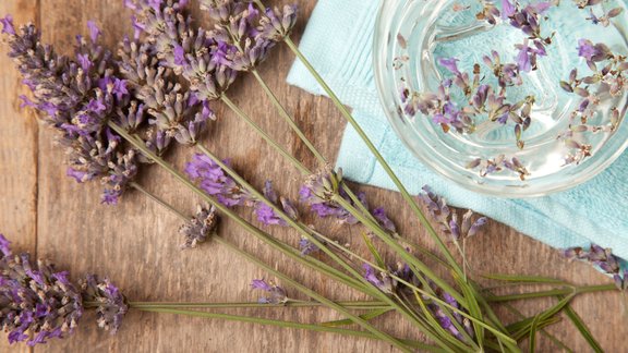 lavanda smarža aromāts