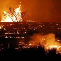 Foto: Kīlauea vulkāna lavas straume atgriezusi no ārpasaules aptuveni 40 mājas