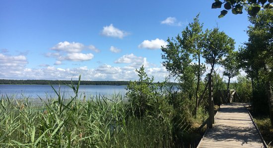 ФОТО. Маршрут выходного дня: Неторопливая прогулка по природной тропе озера Бушниеку