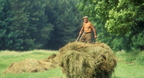 Septiņas senlatviešu metodes perfekta pludmales ķermeņa iegūšanai