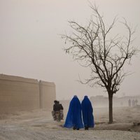 Teroristu grupējuma 'Taliban' līderis mudina Afganistānā stādīt vairāk koku