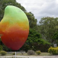 Noskaidrots, kas Austrālijā ar ceļamkrānu nozadzis 'Lielo mango'