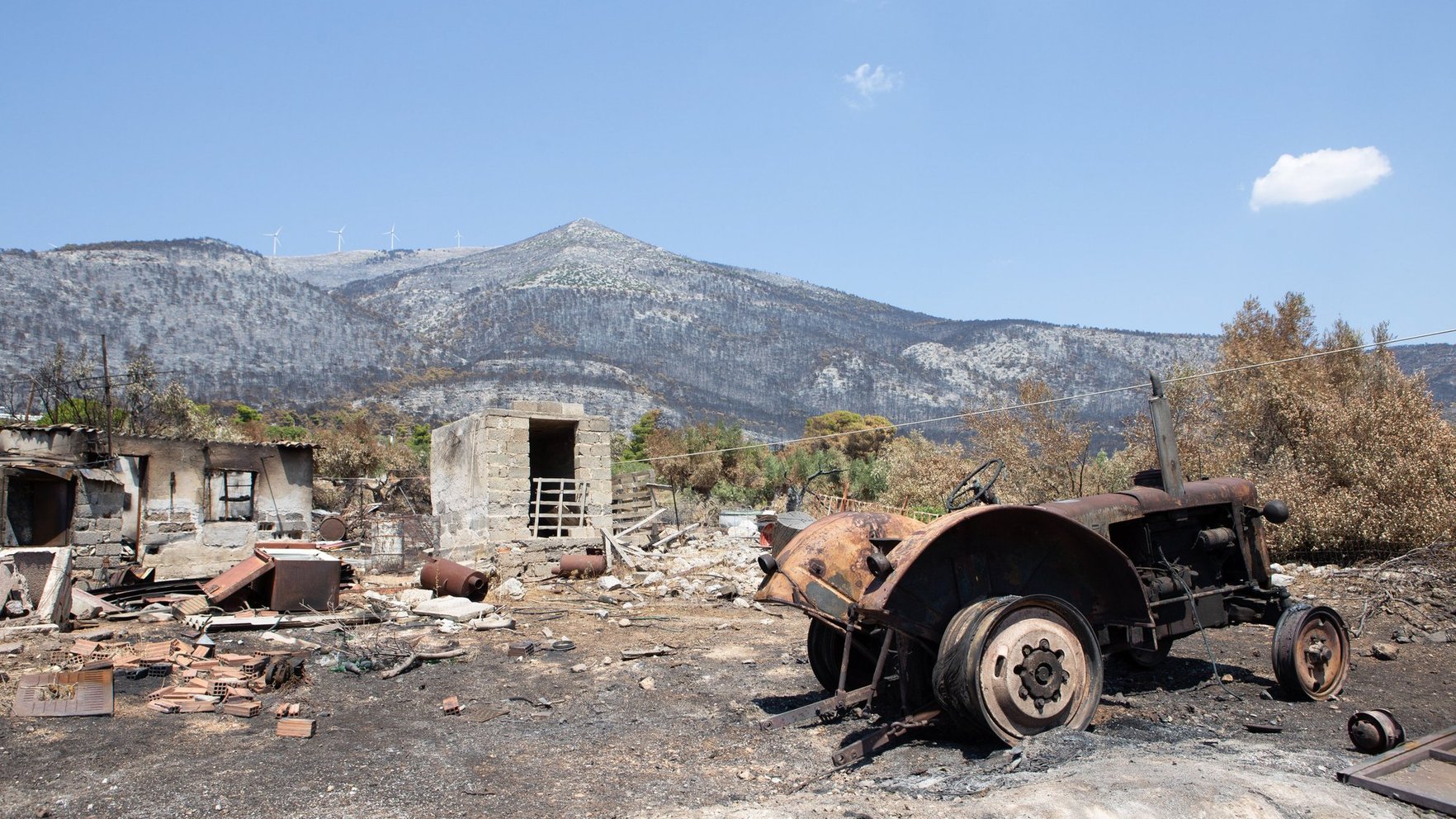 Greece Arrests 281 in Wildfire Crackdown; Arsonists Face Prison