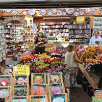 ФОТО DELFI. Прогулки по рынкам мира: что почем на цветочном рынке Амстердама