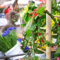 ФОТО и ВИДЕО: Зеленый рынок на Домской площади