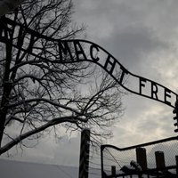 Глава МИД ФРГ заявил об исторической ответственности Германии за Холокост