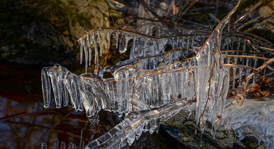 ФОТО. Ледяное кружево на озере Аугстрозес-Лиелэзерс