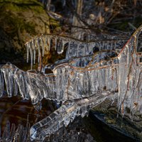 Foto: Ledus mežģīnes Augstrozes Lielezerā