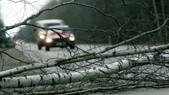 Vētras postījumi uz Ventspils šosejas. Foto: AFI