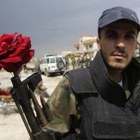 Сирия готовит 8000 пилотов-камикадзе для западных агрессоров