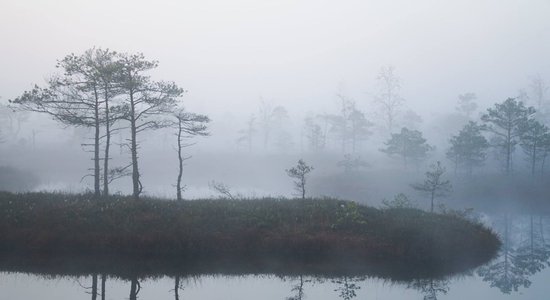 Sagaidot rītausmu Ķemeru purvā – miglā ieskautā tīreļa burvība fotogrāfijās