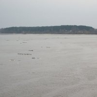 Vidzemes upēs un atsevišķos posmos Daugavā nedaudz turpina paaugstināties ūdens līmenis