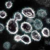 ASV nerekomendē antivielu testus kā mērauklu imunitātei pret Covid-19
