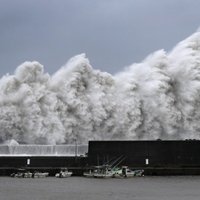 ФОТО. В Японии из-за тайфуна "Джеби" погибли девять человек