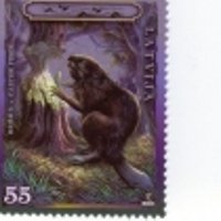 Latvijas Pasts izdod pastmarkas ar bebra un caunas attēlu