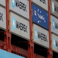 Судоходная компания Maersk заявила, что приостанавливает все рейсы через Красное море
