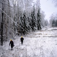 Несколько сотен семей остались без электричества