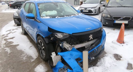 Pateicoties siltajai ziemai, sadursmju ar meža zvēriem kļuvis mazāk