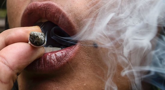 Правительство Германии поддержало легализацию марихуаны в рекреационных целях
