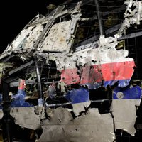 Нидерланды засекретят личности свидетелей по делу Boeing МН17