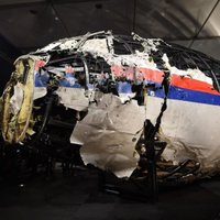Нидерланды не смогли расшифровать российские данные о крушении лайнера MH17
