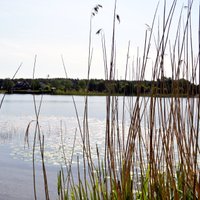 Kurzemes upēs ūdens līmenis cēlies par vairāk nekā metru