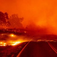 Foto: Elle ielaužas paradīzē – Kaliforniju plosa savvaļas ugunsgrēki
