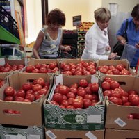 Россия временно прекратит поставки овощей и фруктов с Украины