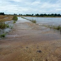 Augusta lietavu un plūdu nodarītie zaudējumi ir 4,38 miljoni eiro