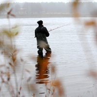 Makšķernieki pašpatēriņam varēs paturēt vairāk zivju