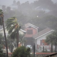 Во Флориде эвакуируют более 5,5 млн человек в ожидании удара "Ирмы"