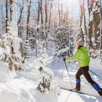 Apkopotas distanču slēpošanas trases Latvijā, kurās pašlaik var nodoties ziemas priekiem