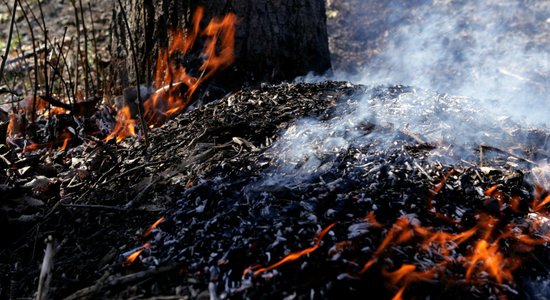 Ugunsdzēsības asociācija aicina palielināt sodus nesakopto teritoriju īpašniekiem