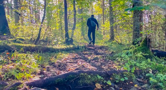 ФОТО. Четыре километра осенней красоты: Природная тропа болота Чужу