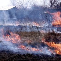 Kūlas neprāts: liesmas apņem desmit ēkas