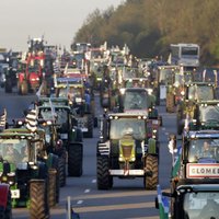 Austrumeiropas zemnieki kopīgi protestēs pret ES lauksaimniecības politiku