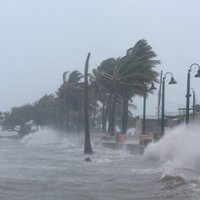 ФОТО, ВИДЕО. "Непригоден для жизни": как ураган "Ирма" почти уничтожил Карибские острова