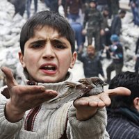 Ziņojums: Sīrijas konfliktā arvien vairāk iesaista bērnus