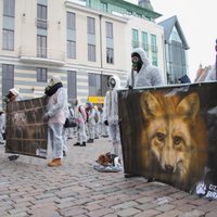 ФОТО и ВИДЕО: В Риге прошла акция против звероводства