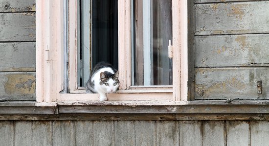 Статистика: в Латвии пустует почти каждое четвертое жилье