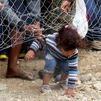 ANO šogad un nākamgad prognozē pusotra miljona bēgļu ierašanos Eiropā