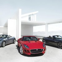 Jaguar показал первую фотографию спорткара F-type