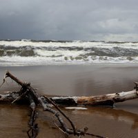 В Риге возможно затопление прибрежных районов