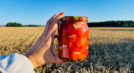 Tomāti želejā no omītes pierakstu grāmatas